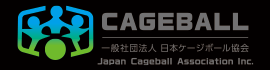 一般社団法人日本ケージボール協会